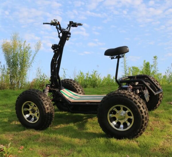 Электро квадроцикл_электро самокат_электро вездеход_EZ Raider_11