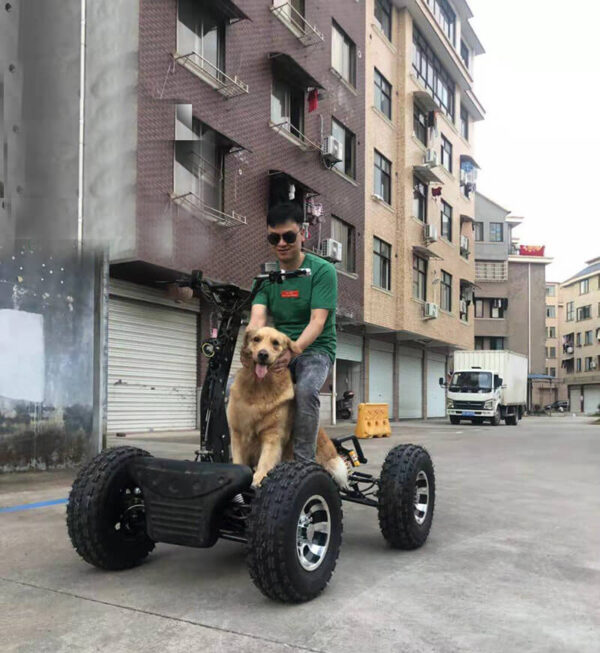 Электро квадроцикл_электро самокат_электро вездеход_EZ Raider_13