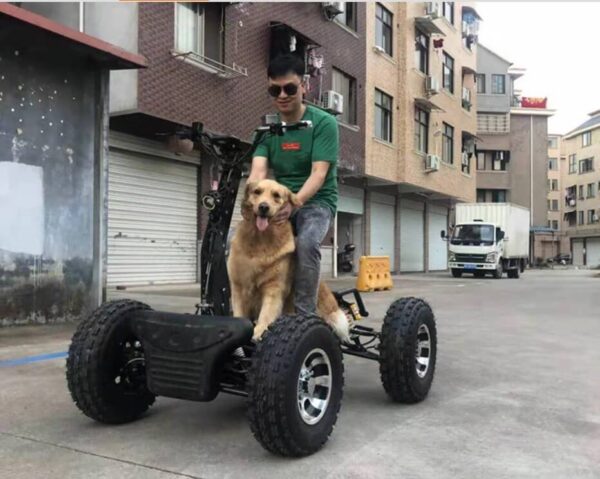 Электро квадроцикл_электро самокат_электро вездеход_EZ Raider_3