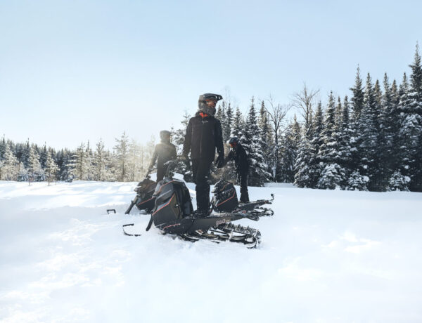 Стоячий снегоход_ Васюган мотоснегокат Русак_легкий снегоход_электро снегоход_сноубайк_гусеничный самокат_6